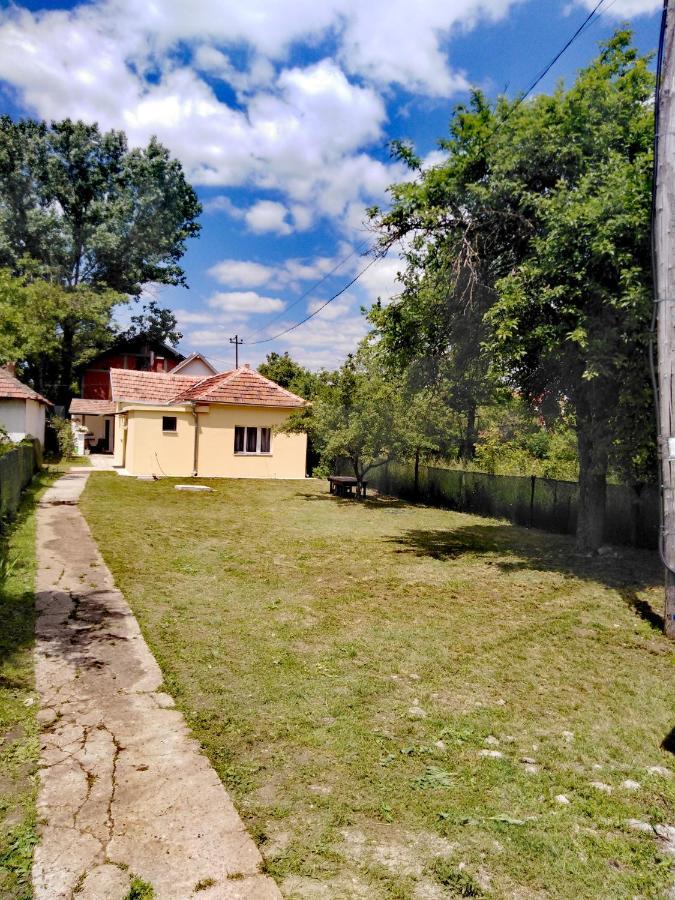 Privatni Smestaj Zlatko Soko Banja Dış mekan fotoğraf