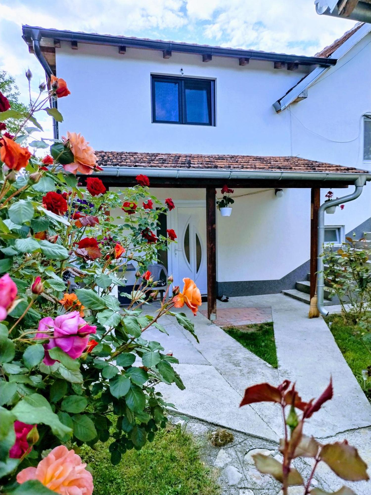 Privatni Smestaj Zlatko Soko Banja Dış mekan fotoğraf